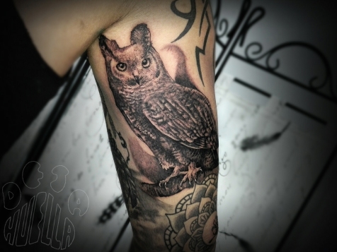 owl36